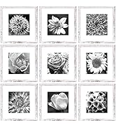 Yaetm 12x12 Picture Frames With Mat for 8x8 Set of 9, Square Photo Frames 12 x 12, White Gallery ...