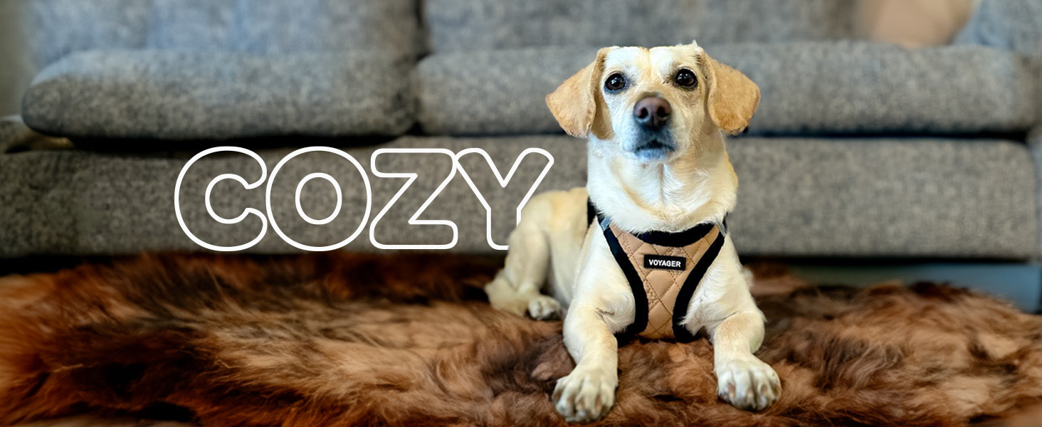 dog walking harness no pull large dog