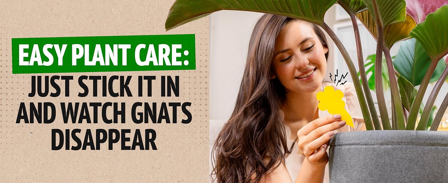 eco-friendly bug control for houseplants