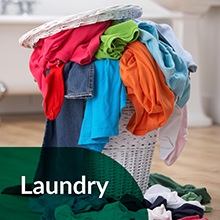 Use Simple Green All-Purpose Cleaner in the kitchen, garage, laundry, on floors &amp; carpet