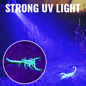 Powerful Black light Flashlight