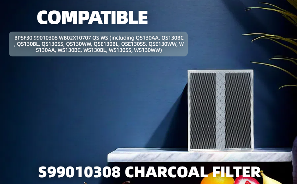 WB02X10707 S99010308 Charcoal Replacement Filter 