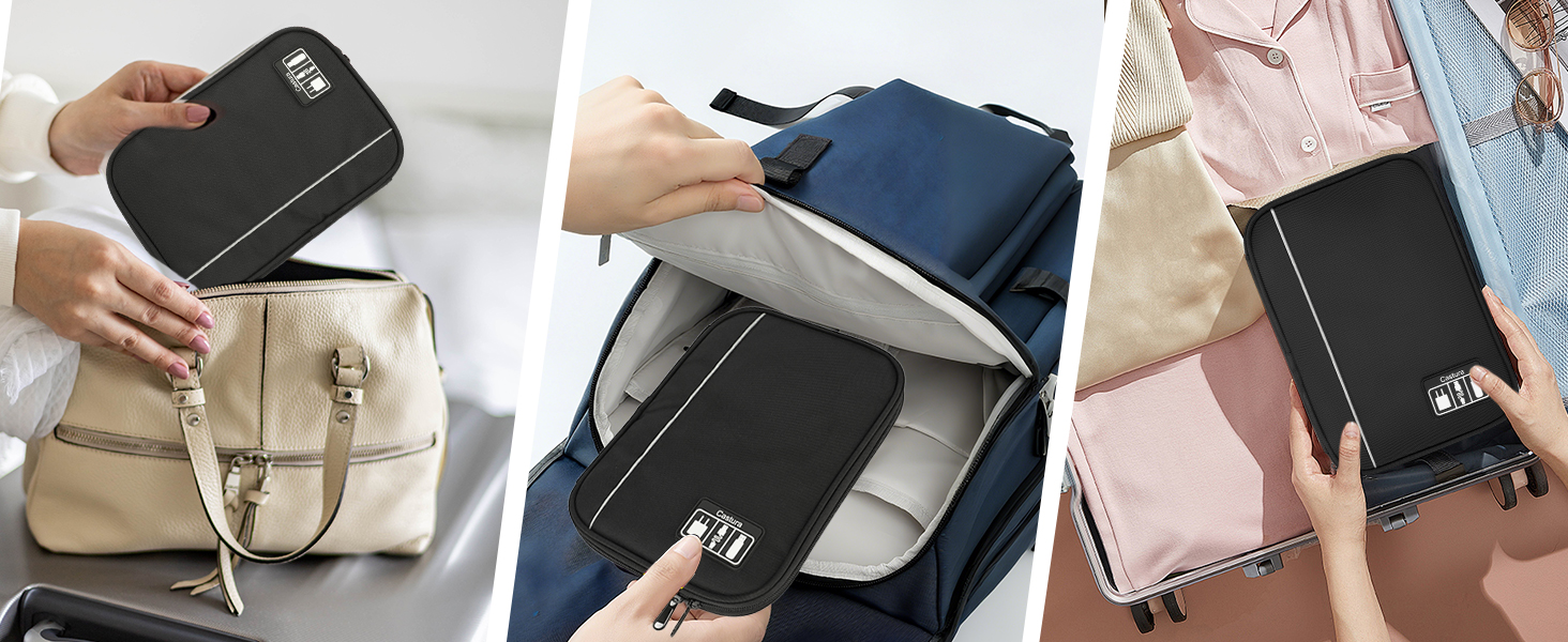 Electronic Organizer Travel Case