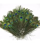 Labriciyon 10 Pcs Natural Peacock Feather with Eyes Tail Feathers for Home Decor Craft Supplies