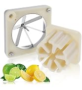 WICHEMI 6 Section Blade With Push Block Commercial Fruit Cutter Blade Replacement for Commercial ...