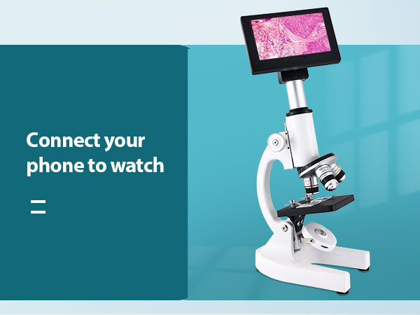 Microscope