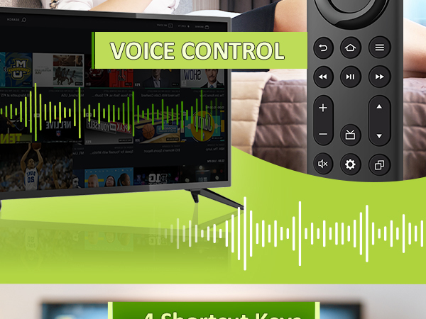 Replacement Remote Control