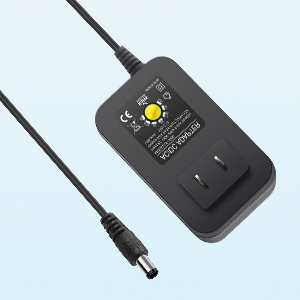 30W
