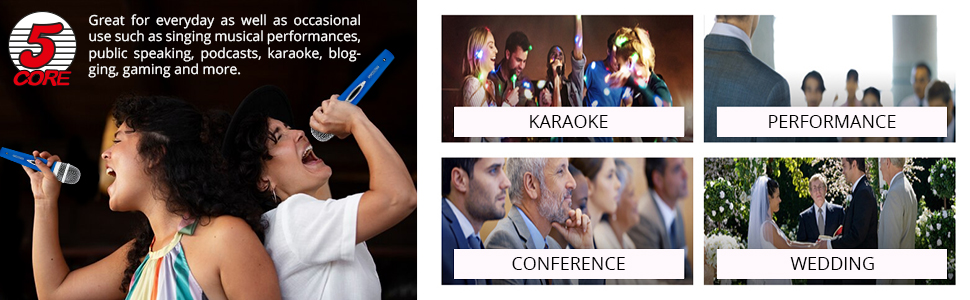 microphone for singing, wired microphone, dynamic microphone, mic, singing microphone