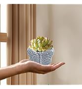 Cute Ceramic Succulent Dragofly Garden Pots w/Pottery Quality Finish, Cute Planting Pot, Indoor P...