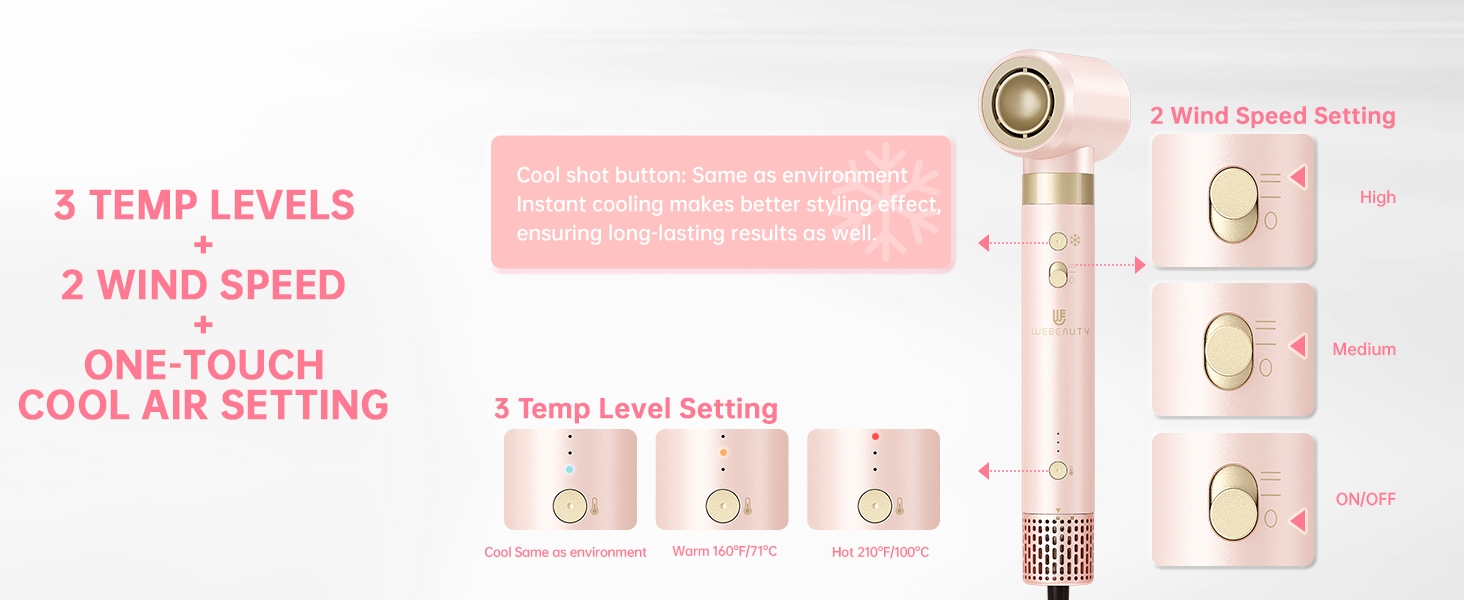 Dual Voltage Hot Air Styler