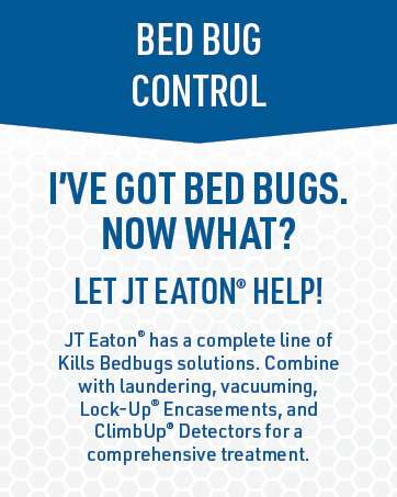 Bed Bug Control