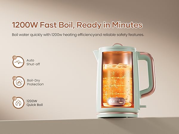 OLEGA Electric Kettle