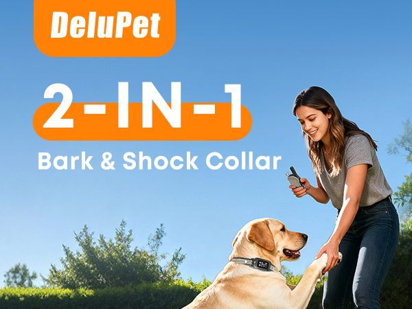 shock collar for dogs