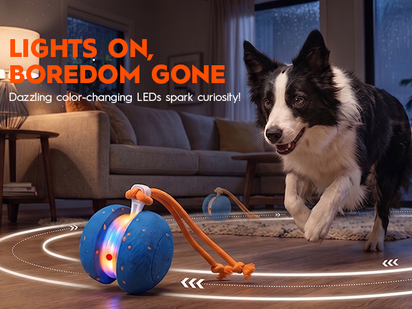 Interactive Rolling Dog Balls