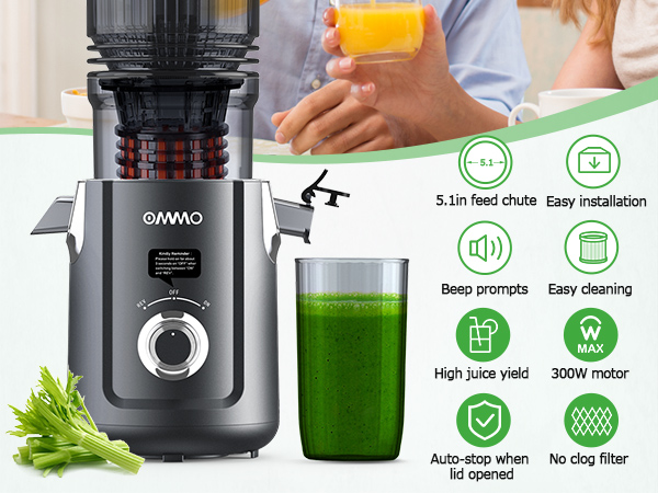 Cold Press Juicer