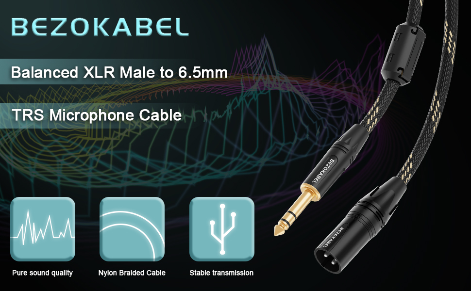 xlr male to 6.5mm