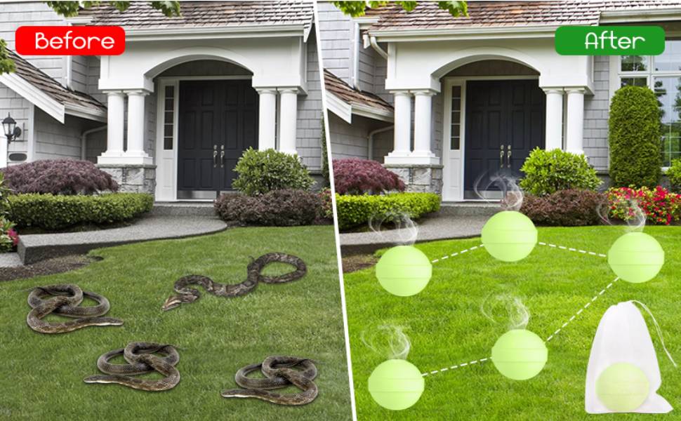 snake away repellent