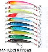 EXAURAFELIS Fishing Lure minnow lures