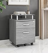 Techni Mobili Rolling Glass Top File Cabinet, Regular, Gray