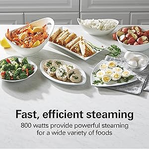 food steamer