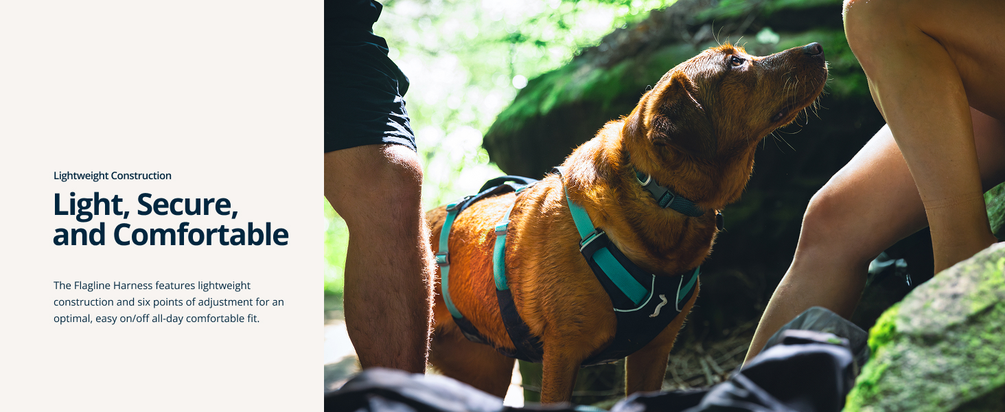 XL dog harness with padded support, great for hiking, lifting, and everyday use.