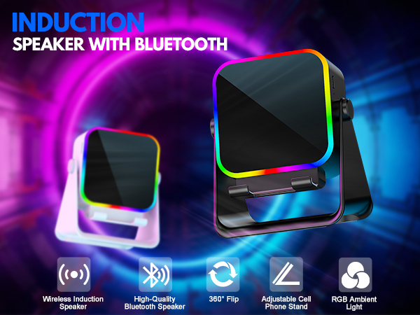 induction speaker