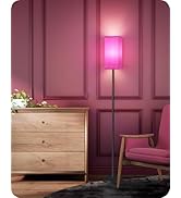 GOEBLESON Floor Lamp, Pole Lamp with Foot Switch, Modern Standing Lampshade, Minimalist Freestand...