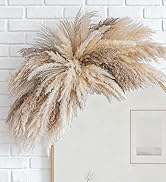 WILD AUTUMN Fluffy Boho Wall decor - DIY pampas grass kits,Decorative pampas cloud,Mirror Decorat...