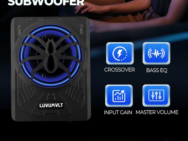 Car Subwoofer