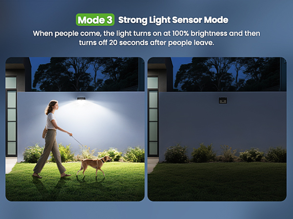 solar motion lights