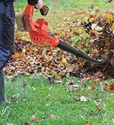 Cordless Leaf Blower