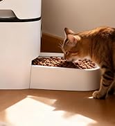 double cat feeder wifi