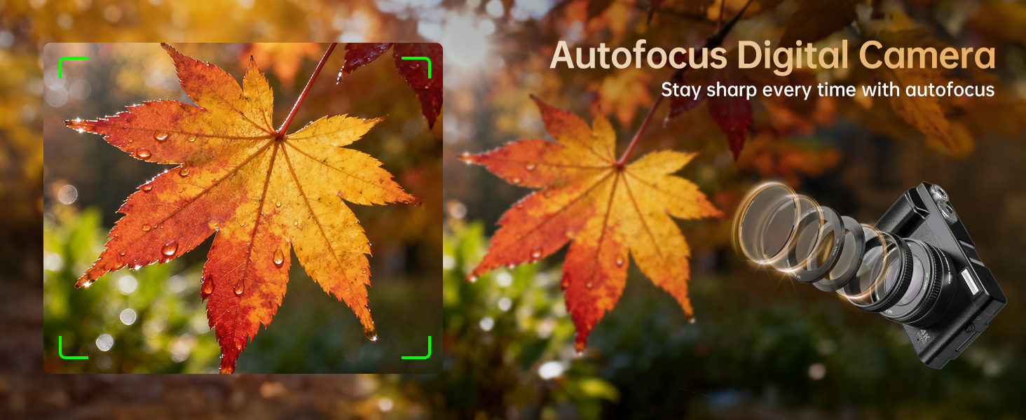 autofocus digital camera