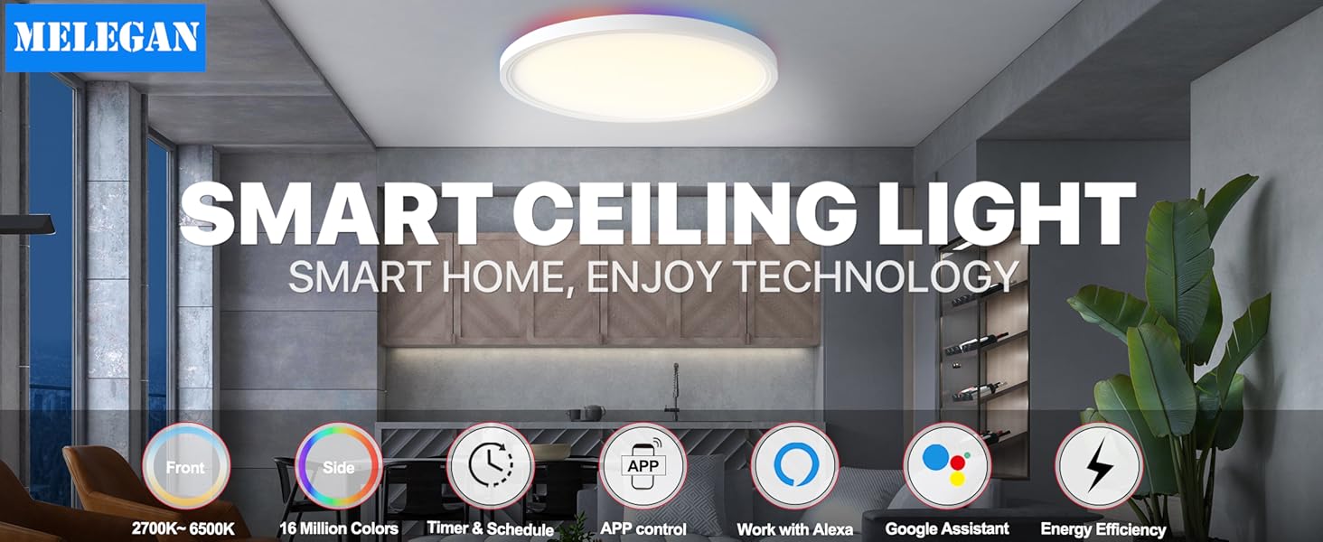 smart ceiling light
