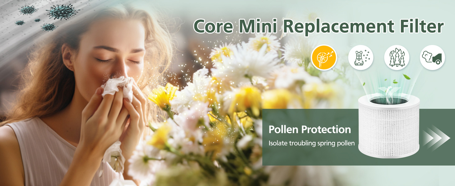 core mini filter