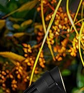 SUNVIE 12W Low Voltage LED Landscape Lights with Connectors, Outdoor 12V Super Warm White (900LM)...