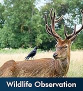 infrared binoculars night vision