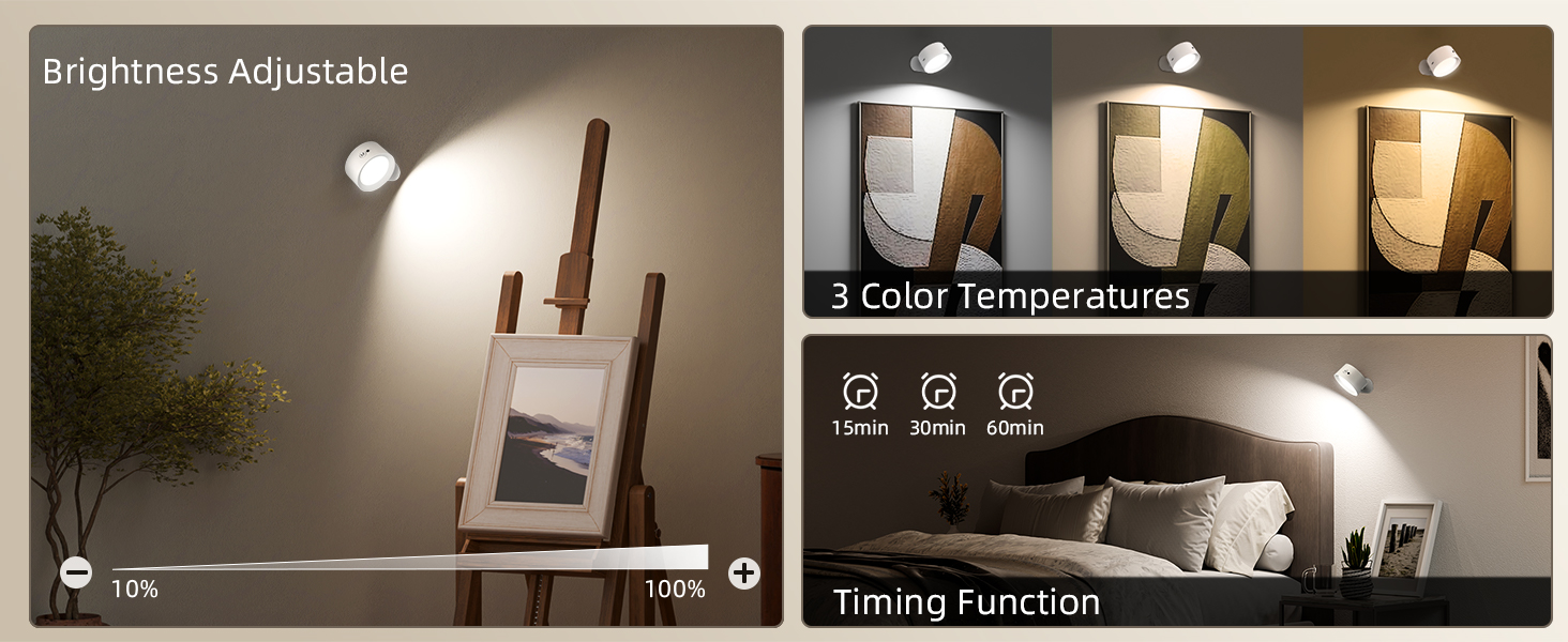 LED Wall Mounted Lights