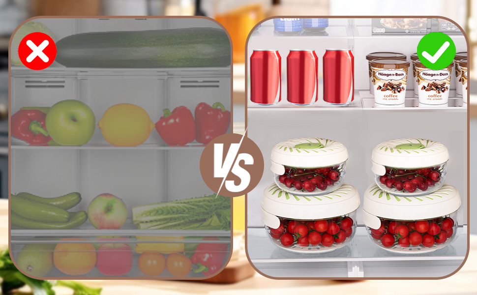fruit containers for fridge