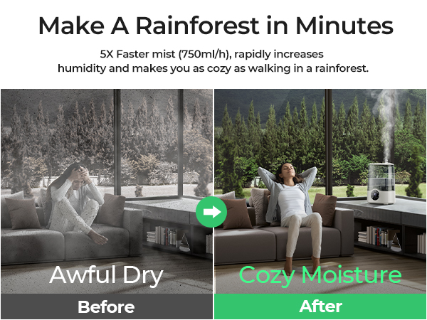 cozy moisture