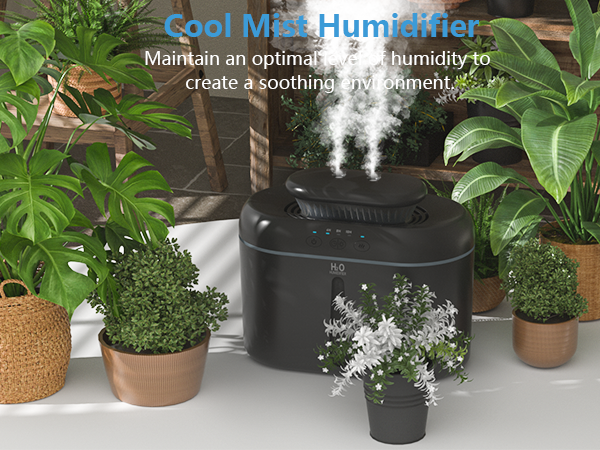 Humidifier for Plants