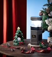 Raddy SL10 Emergency Radio