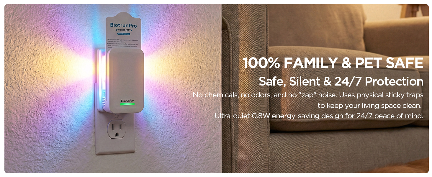 fly killer gnat killer plug in best safe electric flying insect trap fruit fly bug blue UV light