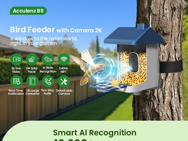 bird feeder with camera