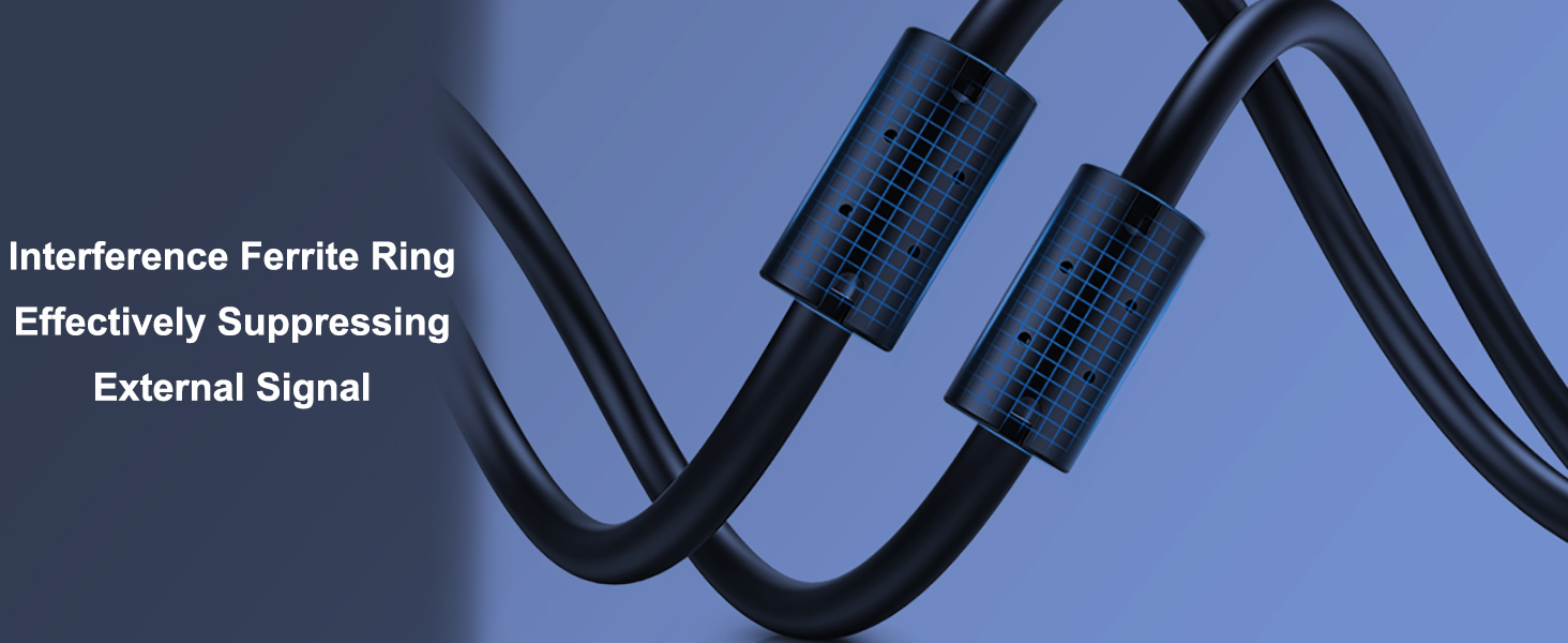 computer video camera with speaker