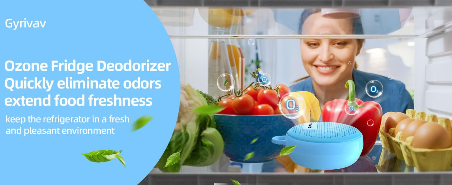 fridge deodorizer