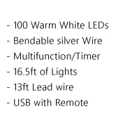 QBIS 100 Warm White USB Powered LED String Lights, fairy lights for bedroom with Remote, twinkle ...