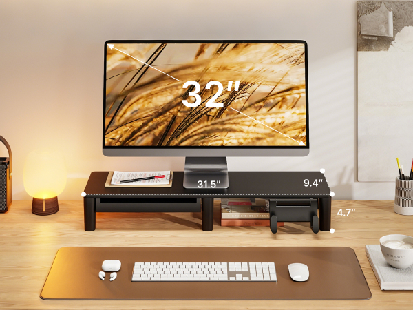monitor riser