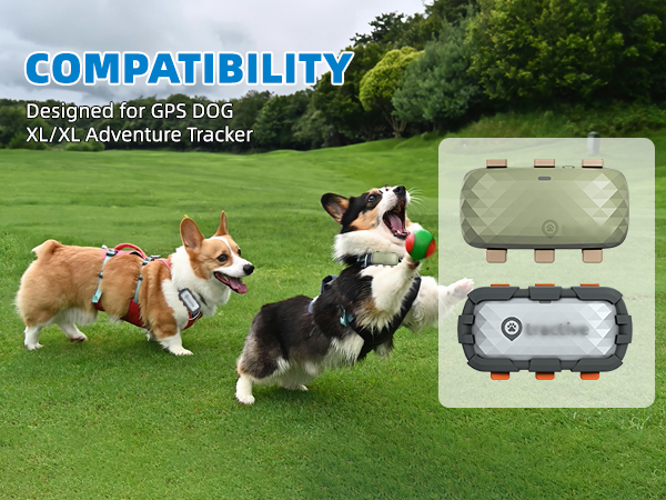 tractive gps dog tracker